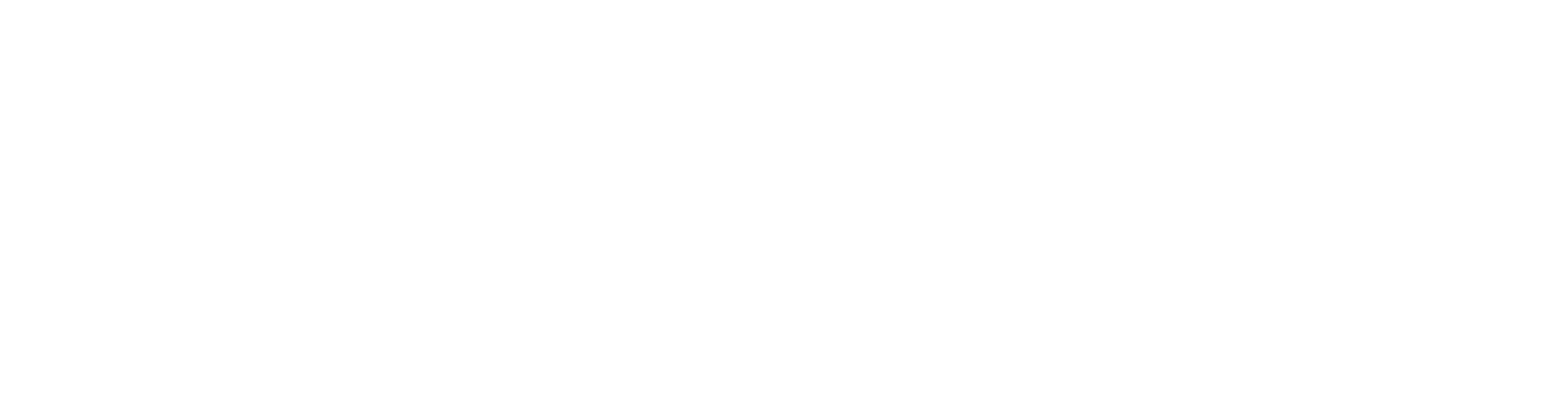 logo-white
